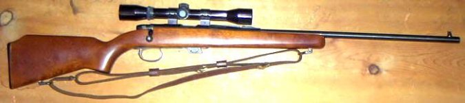 my first 22 rifle better pic.jpg