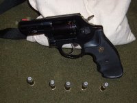 taurus44spl.jpg