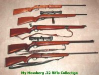 Mossberg twentytwos.jpg