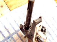 colt 004 (Small).JPG