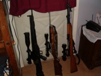 Cetme 308 Blackwidow Mini-14 and SKS 59-66.JPG