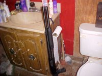 bathroom gun.jpg