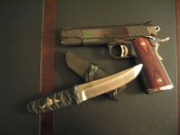 reduced kimber martin.JPG