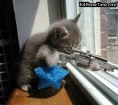 Kitty-Sniper.jpg