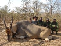 Eland_trackers.jpg