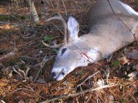 Deer Hunting 2006 1111.JPG