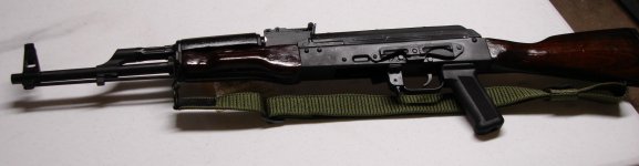 Sar1-1.jpg