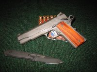 springfield1911.jpg