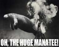 Manatee.jpg