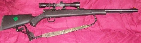 muzzle loader cropped.jpg