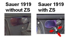 Comp_Sauer1919_ZS_noZS.jpg