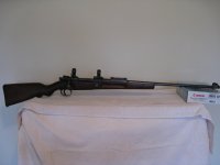 Gun #22.jpg