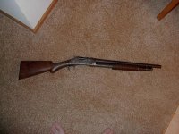 my winchester 1897.jpg