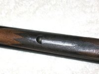 16ga forearm1024.jpg