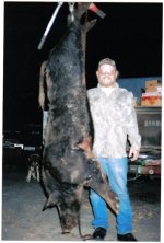 mike's450# boar (Medium).JPG