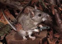 mousegun.jpg