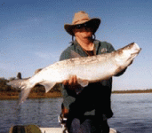 Shee Fish, Kobuk Valley National Park.gif