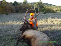 ron's colorado elk 10-11-2008 009.jpg