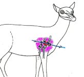 antelope_ballistics007.jpg