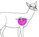 antelope_ballistics008.jpg