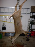 buck2009 003.jpg