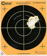 cast bullet target.jpg