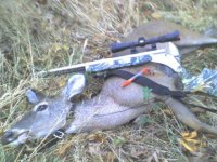 Doe 1 from 2009 ML season.jpg