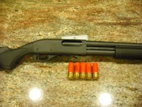 remington 870_1.JPG