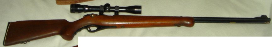 old .22 rifle.jpg