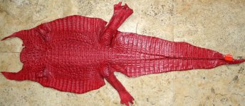 caiman_BLOODRED_web.jpg