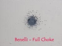 benelli full.jpg