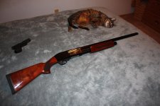 New Weatherby 022.jpg