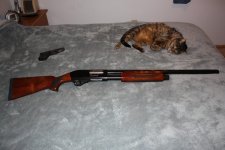 New Weatherby 024.jpg