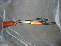 gunbroker auction.jpg