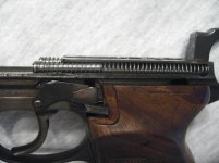 Mauser spring.jpg