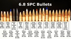 68bullets22s.jpg