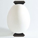 egg holder.JPG