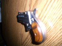 Derringer Front Sight.jpg