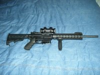 M&P15-22 (7).jpg