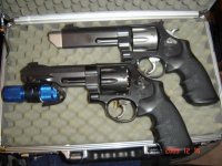 Gun S&W V-Comp pits M&P 001.jpg