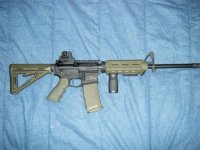 M&P15 Sport Magpul MOE (1).JPG