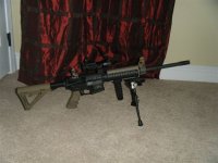 M&P15 OR.JPG