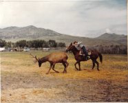 old elk roping.jpg