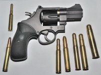 S&W 325  nightguard _1.jpg