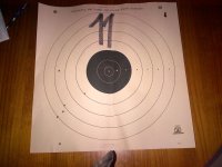 Argentine1891 First 100 Yard Target.jpg