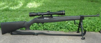 ruger 10-22 .jpg