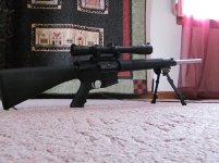 AR-15 Varminter1.jpg