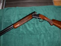 Shotguns 11-10-08 012.jpg