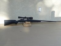 Rifle1_(640x480).jpg