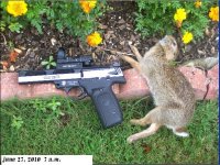 rabbit wiith pistol.JPG